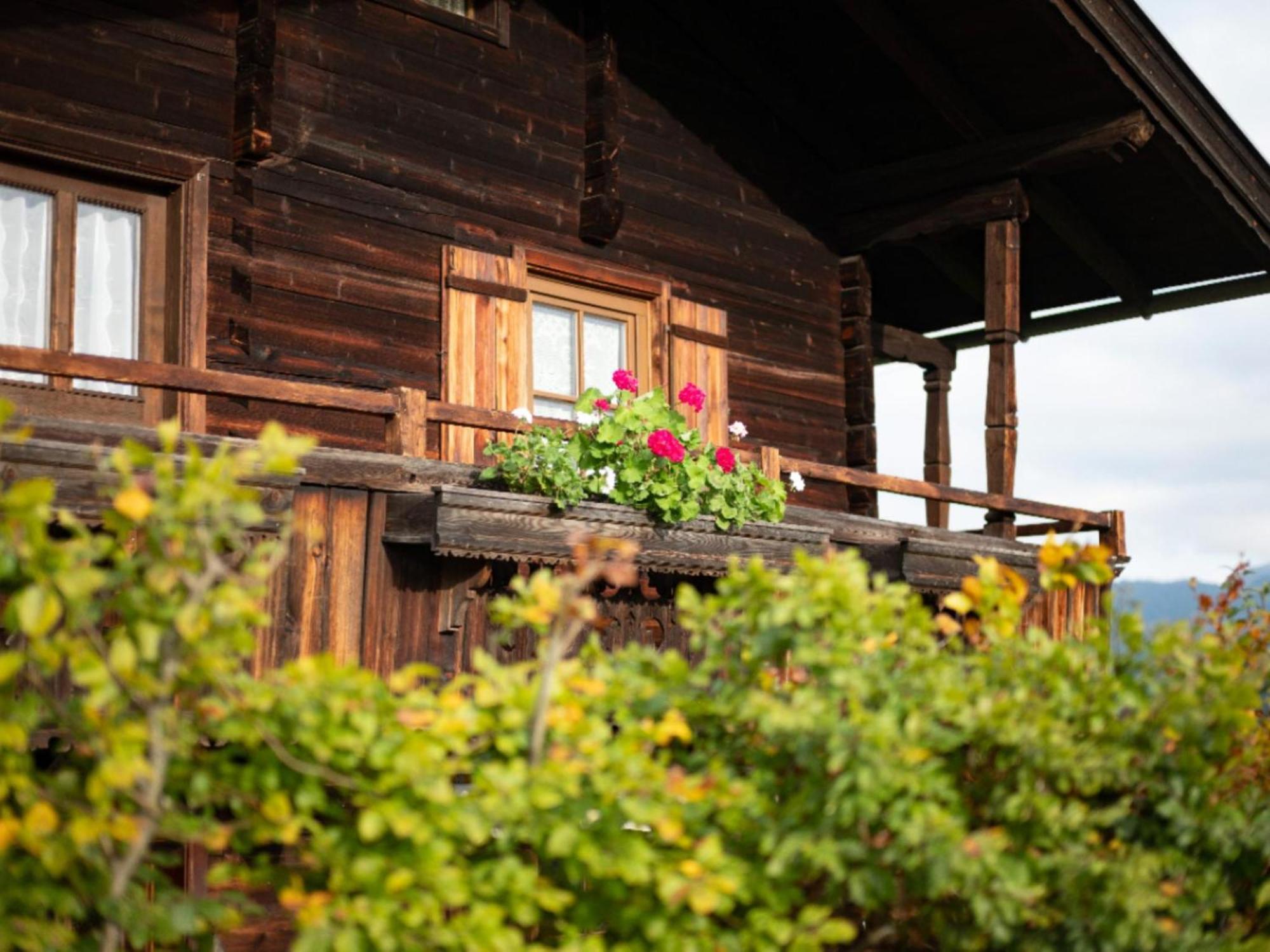 Vila Weberhaeusl Am Penningberg Hopfgarten im Brixental Exteriér fotografie